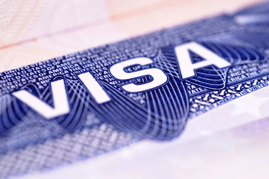 visa e1 que es bixplan visas e1
