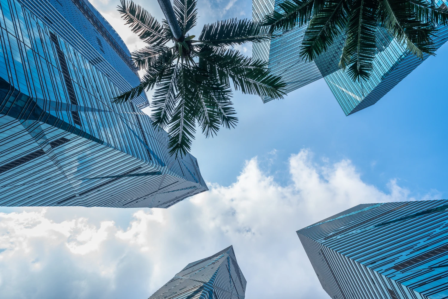 lugares para visitar en miami bixplan