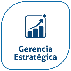 gerencia estrategica bixplan